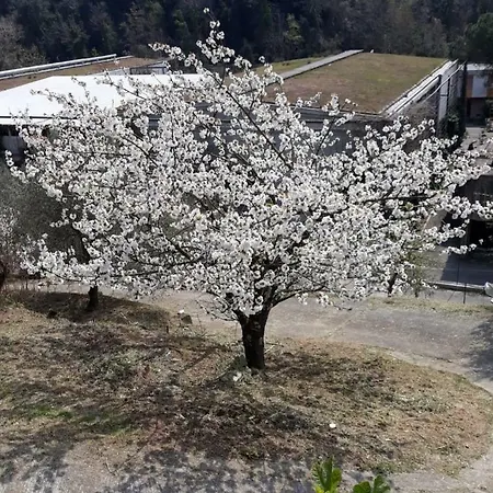 Mimosa 公寓